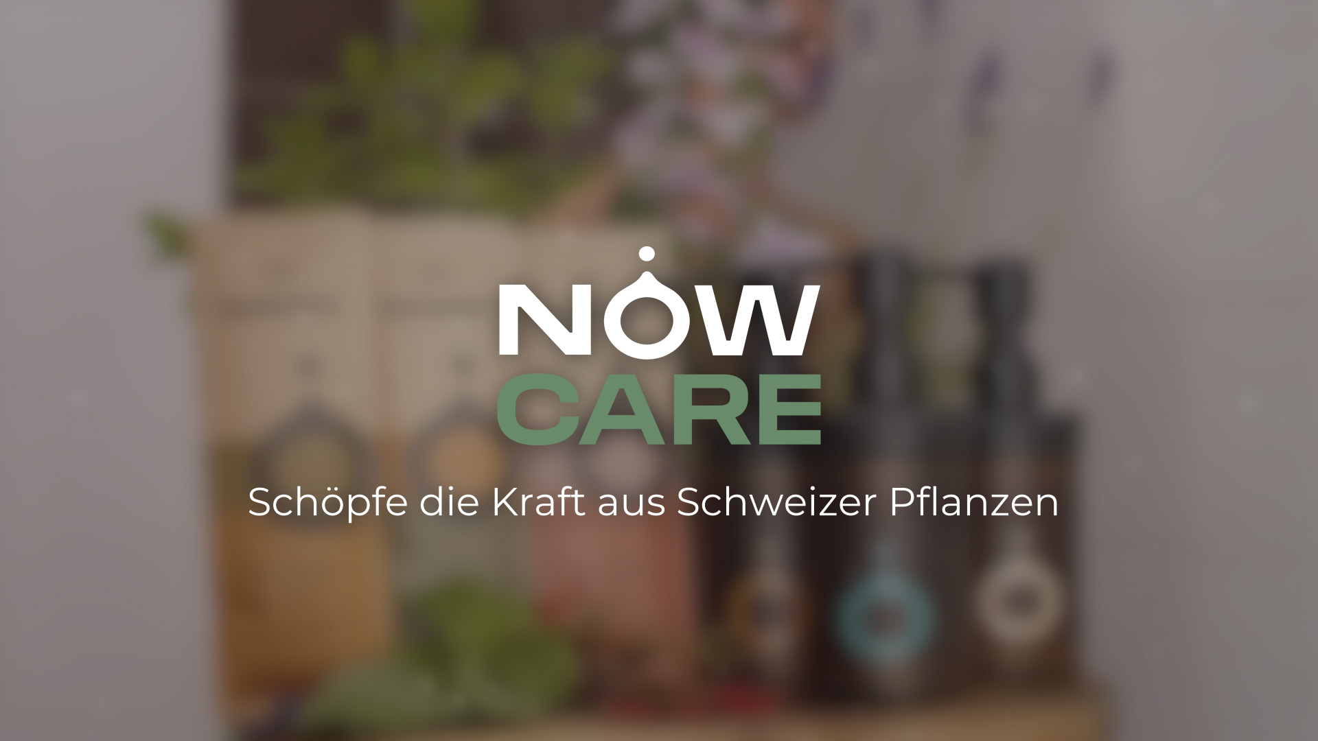 Projekt: NOW Care